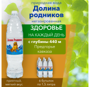 1,5л Вода мин Долина Родников Ручеек (Горячий Ключ) негаз. 6 в уп.