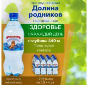 0,5л Вода мин Долина Родников Ручеек (Горячий Ключ) газ. 12 в уп.