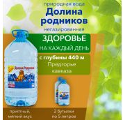 5,0л Вода мин. 